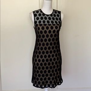 Nu Collective Black Mesh Polka Dot Dress w/ Lining